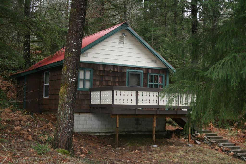 פקווד Mountainside Chalet - Tiny Home מראה חיצוני תמונה